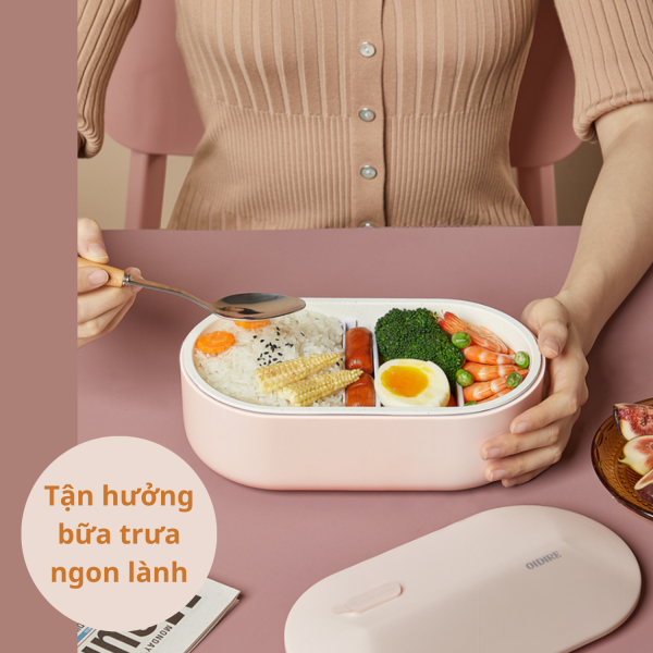 Hộp cơm cắm điện