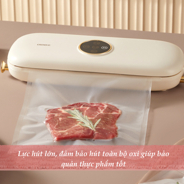 Máy hút chân không OIDIRE ODI-ZCK01