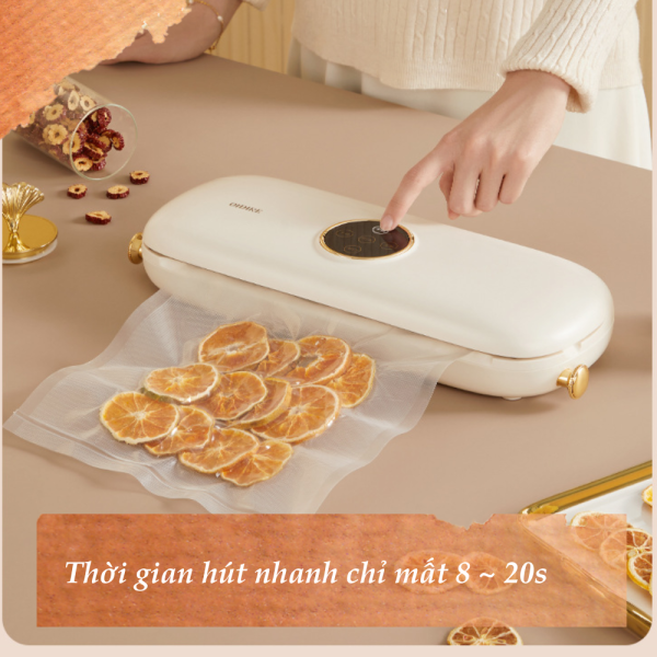 Máy hút chân không OIDIRE ODI-ZCK01