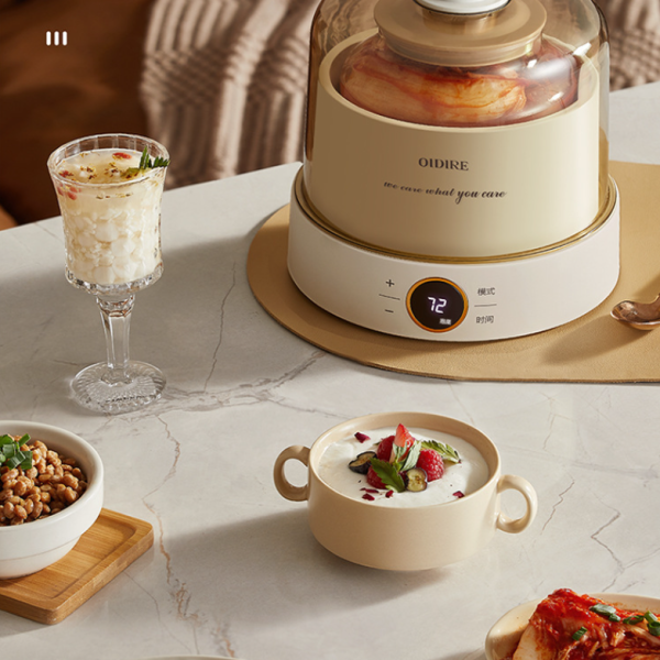 Máy làm sữa chua OIDIRE ODI-SA23