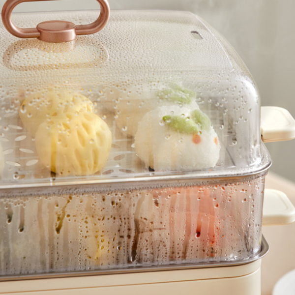 Nồi hấp điện DZG-CA2G2